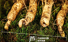 人参和西洋参的价格分别是多少，如何分辨