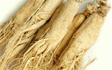 人参枸杞酒最佳配方，具有强身健体的功效