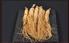 百草之王的人参，是中药补虚的佳品