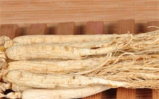 食用铁皮石斛和人参禁忌，铁皮石斛和人参的服用方法