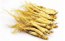 人参片功效，人参片的食用方法