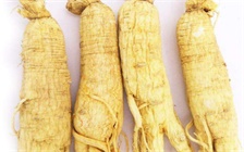人参食用禁忌