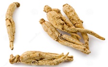 人参的正确使用方法