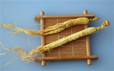 与人参相克的食物