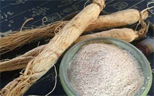 人参和鹿茸怎么吃