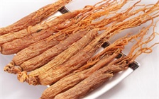 人参绿茶可同食吗