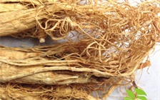 人参的存放和食用方法，食用人参的注意事项