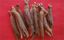 人参干的好还是湿的好，干人参和湿人参的区别