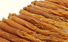 人参炖肉的功效有哪些，人参炖肉做法大全