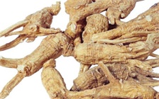 海萃人参的功效是什么，海萃人参的食用方法
