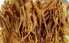 人参龙眼肉有什么功效，人参和龙眼肉的蒸法