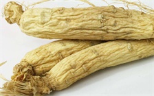 虚不受补的人可以试试太子参,看看作用与禁忌,早知道早受益