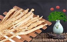 红参与蜂蜜浸泡做法,红参泡蜂蜜的制作方法介绍