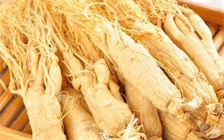 人参是大补元气的,月子期间可以吃人参炖鸡汤吗?食用有哪些功效?