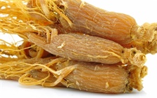 患有子宫肌瘤是否可以食用人参，人参对于癌症具有治疗功效吗
