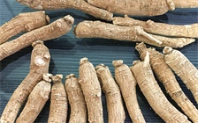 脑梗患者是否可以饮用人参茶，人参茶是否具有一定的副作用