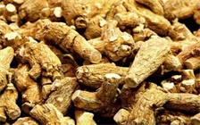 女性处于经期期间是否适合食用人参，什么情况下女性不适合食用人参