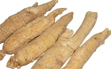 人参的性是凉还是热，人参与哪些食物或中草药药性相冲