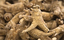 人参几年才会开花，人参生长几年后即可采挖售卖