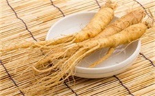 人参片是否可以与枸杞一起冲泡茶饮，人参茶饮的做法大全